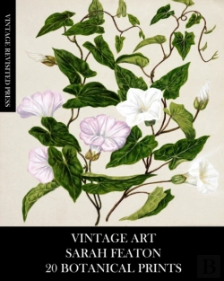 Bertrand.pt - Vintage Art