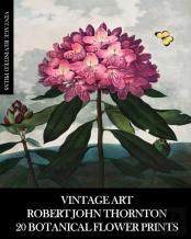 Vintage Art