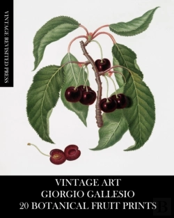 Bertrand.pt - Vintage Art