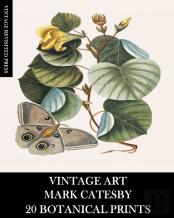 Vintage Art