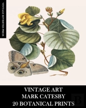 Vintage Art