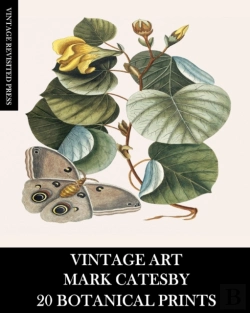 Bertrand.pt - Vintage Art