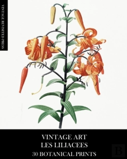 Bertrand.pt - Vintage Art