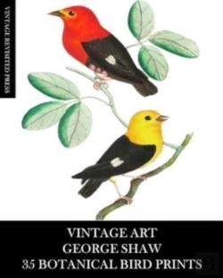 Bertrand.pt - Vintage Art