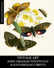 Vintage Art