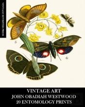 Vintage Art
