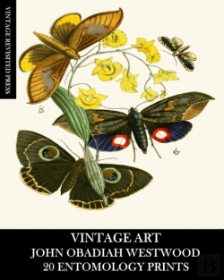 Bertrand.pt - Vintage Art