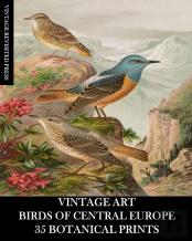 Vintage Art