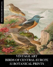 Vintage Art