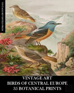Bertrand.pt - Vintage Art