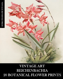 Bertrand.pt - Vintage Art