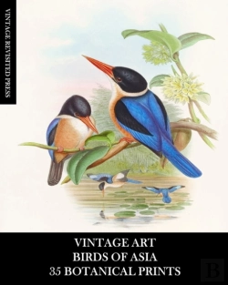 Bertrand.pt - Vintage Art