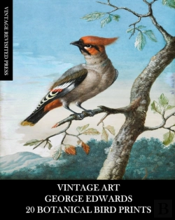 Bertrand.pt - Vintage Art