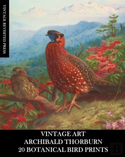 Bertrand.pt - Vintage Art
