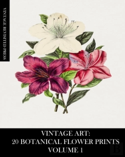 Bertrand.pt - Vintage Art