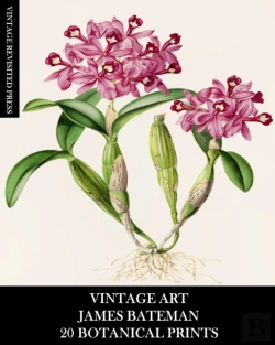 Bertrand.pt - Vintage Art