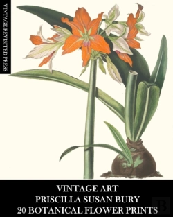 Bertrand.pt - Vintage Art