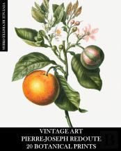 Vintage Art