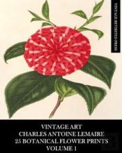 Vintage Art