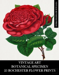 Bertrand.pt - Vintage Art
