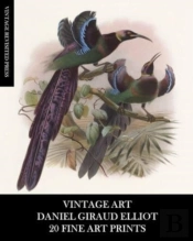 Vintage Art