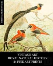 Vintage Art
