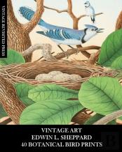 Vintage Art