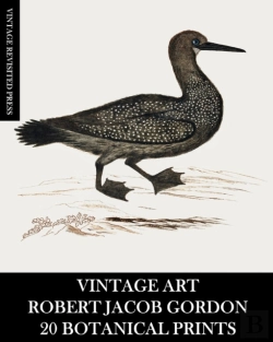 Bertrand.pt - Vintage Art: Robert Jacob Gordon: 20 Bot