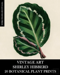 Bertrand.pt - Vintage Art: Shirley Hibberd 20 Botanica