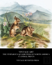 Vintage Art: The Viviparous Quadrupeds O