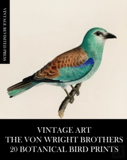 Bertrand.pt - Vintage Art: The Von Wright Brothers: 20