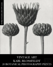 Vintage Art
