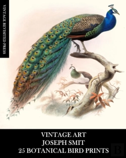 Bertrand.pt - Vintage Art