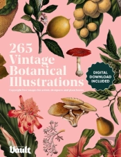 Vintage Botanical Illustration