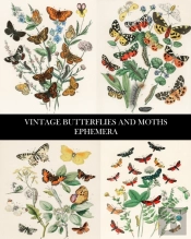 Vintage Butterflies And Moths Ephemera