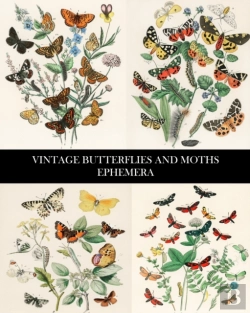 Bertrand.pt - Vintage Butterflies And Moths Ephemera
