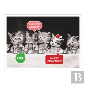 Vintage Cat Memes Notecards