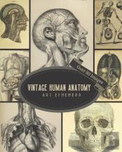 Vintage Human Anatomy Art Ephemera