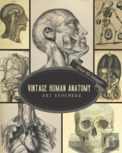 Vintage Human Anatomy Art Ephemera