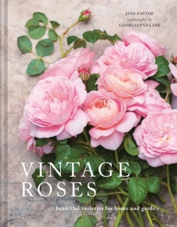 Bertrand.pt - Vintage Roses