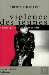 Violence Des Jeunes : L'Autorité Parentale En Question