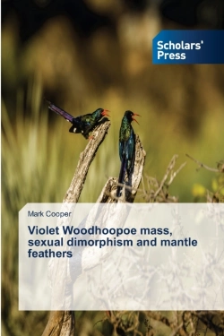 Bertrand.pt - Violet Woodhoopoe Mass, Sexual Dimorphism And Mantle Feathers