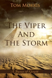 Viper And The Storm