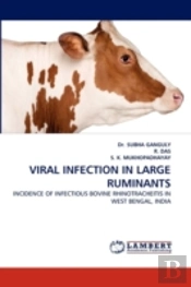 Viral Infection In Large Ruminants
