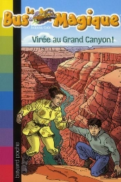 Virée Au Grand Canyon