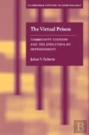 Virtual Prison
