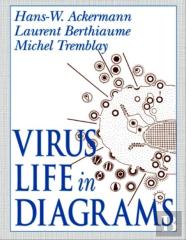 Virus Life In Diagrams