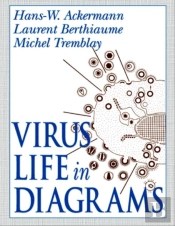 Virus Life In Diagrams