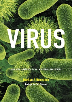 Bertrand.pt - Virus