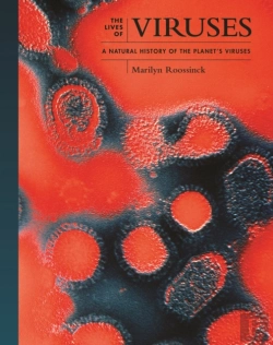 Bertrand.pt - Viruses